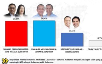 Hasil Quick Count Pilkada NTT, Melki-Johni vs Simon-Andre Siapa yang Unggul?