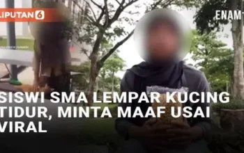 VIDEO: Viral Siswi SMA di Balikpapan Lempar Kucing Tidur di Kantin, Minta Maaf Usai Viral