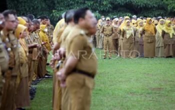 Menko Pangan: ASN Penyuluh Daerah Akan Ditarik ke Pusat