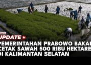 Pemerintahan Prabowo Bakal Cetak Sawah 500 Ribu Hektare di Kalimantan Selatan