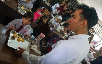 Makan Bergizi Gratis Dimulai Desember, Kejar Target 82,9 juta Orang di 2027