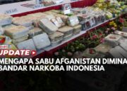 Mengapa Sabu Asal Afganistan Diminati Bandar Narkoba di Indonesia