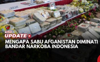 Mengapa Sabu Asal Afganistan Diminati Bandar Narkoba di Indonesia