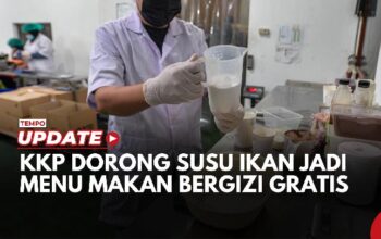 KKP Dorong Susu Ikan Menjadi Menu Makan Bergizi Gratis