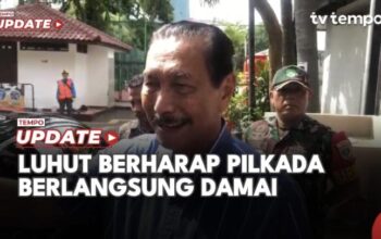 Luhut Berharap Pilkada Berlangsung Damai