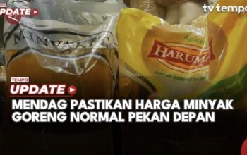 Mendag Pastikan Harga Minyak Goreng Normal Pekan Depan