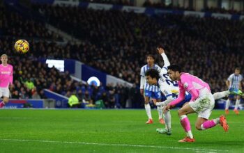 Ditahan Imbang Southampton 1-1, Brighton & Hove Albion Naik ke Posisi Dua Klasemen Liga Inggris