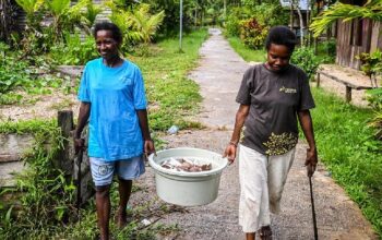 Kemandirian Perempuan Papua Barat Daya Membuat Minyak Kelapa