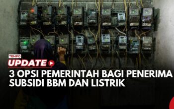 3 Opsi Pemerintah Bagi Penerima Subsidi BBM dan Listrik