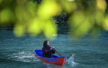 Berwisata ke Pulau Maratua, Kehe Daing Hingga ke Menyelam di Goa Halo Tabung, Kalimantan Timur