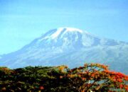 10 Gunung Tertinggi di Afrika, Ada yang Mencapai 5.895 Meter