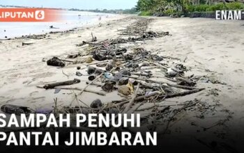 VIDEO: Puluhan Ton Sampah Penuhi Pantai Jimbaran