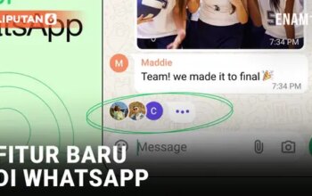 VIDEO: Fitur Baru Indikator Mengetik di Whatsapp