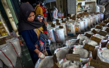 Bapanas Pastikan Stok Beras Menjelang Nataru Aman dan Stabil