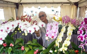 Berburu Anggrek Pada Pameran Tangsel Orchid Festival 2024