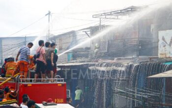 Puluhan Rumah Hangus Akibat Kebakaran di Kawasan Kemayoran