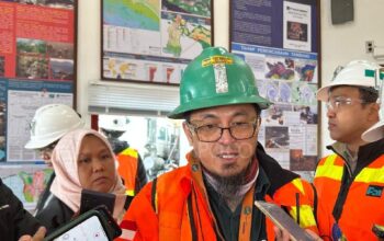 Vegetasi Rumput dan Lumut Mulai Hijaukan Reklamasi Bekas Tambang Terbuka Grasberg