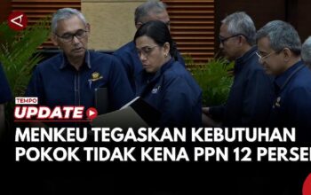 Menkeu Sri Mulyani Tegaskan Kebutuhan Pokok Tak Kena PPN 12 Persen