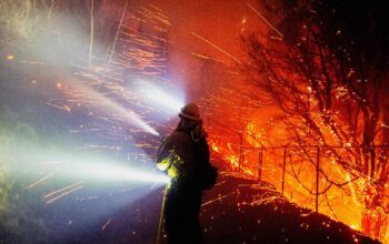 Kebakaran Melanda Hutan Malibu, Ribuan Orang Dievakuasi